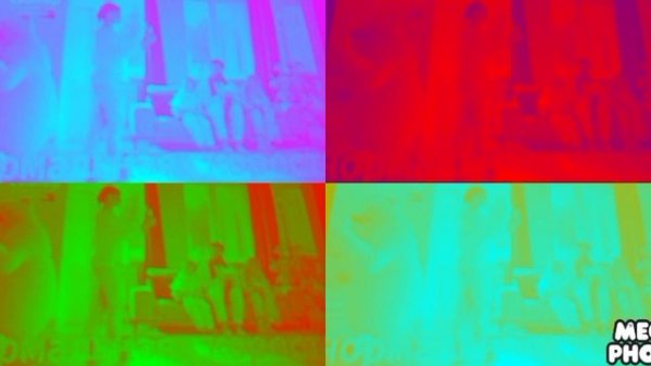 сиалор цветение