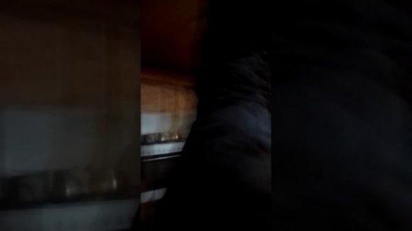 VID_20260218_042825.mp4