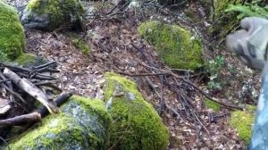 Розжиг огня под дождем