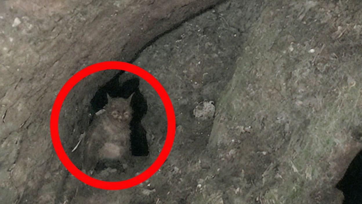 ЖУТКИЕ КАДРЫ ИЗ СТАРОЙ ШАХТЫ смотреть онлайн