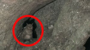 ЖУТКИЕ КАДРЫ ИЗ СТАРОЙ ШАХТЫ