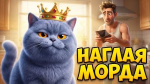 НАГЛАЯ МОРДА! 😼 Песня про кота, который считает себя ЦАРЕМ (Смешно до слез!)