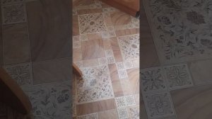 VID_20260218_134005.mp4