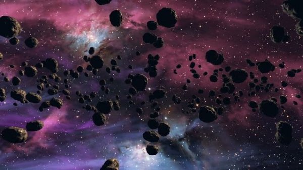 856309-hd_1920_1080_30fps