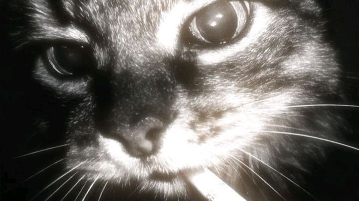 ДМ смотреть онлайн