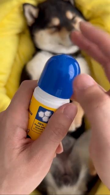 Жизнь хороша 😊😁 #собачка# #ASMR# #уход# #Relax# Жизнь хороша 😊😁 #собачка# #ASMR# #уход# #Relax#