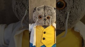 некоторое о моих басиках😜