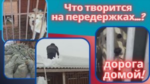 Опять мороз и снегопад... Замерзаем!