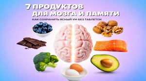 7 продуктов для мозга и памяти: как сохранить ясный ум без таблеток