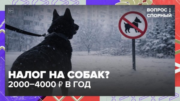 В России могут ввести налог на выгул собак: сколько придется платить? | Вопрос спорный — Москва 24