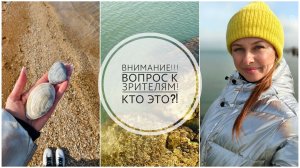 44/26. Такого я ещё не видела😱//Побережье Азовского моря❤️// Где ловить рыбу?!//Mariya VD LIFE.