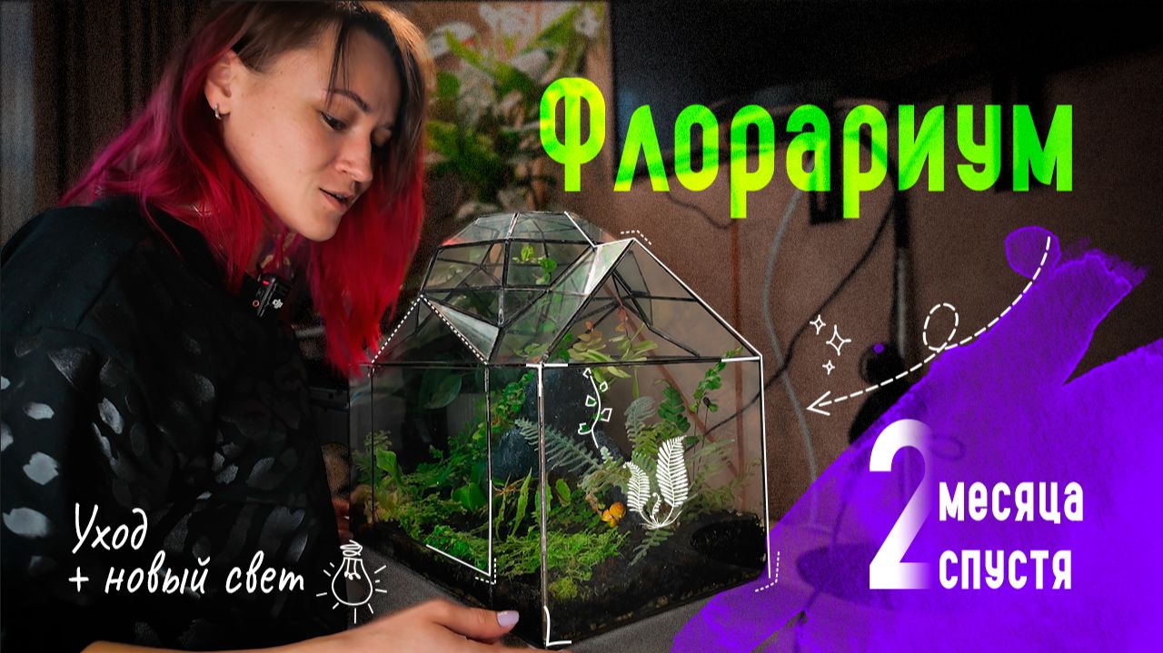 ФЛОРАРИУМ СПУСТЯ ПАРУ МЕСЯЦЕВ: что прижилось, что выросло и обновляем подсветку смотреть онлайн