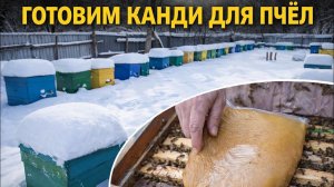 Готовим канди для пчёл