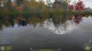 Трофей Солнечник Синежаберный / Russian Fishing 4