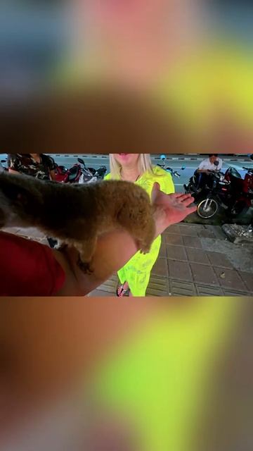 Лори на руках: продолжение встречи