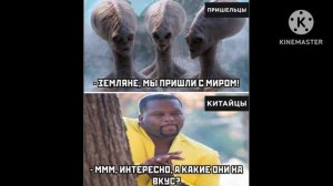 #мемы#коты#итд.