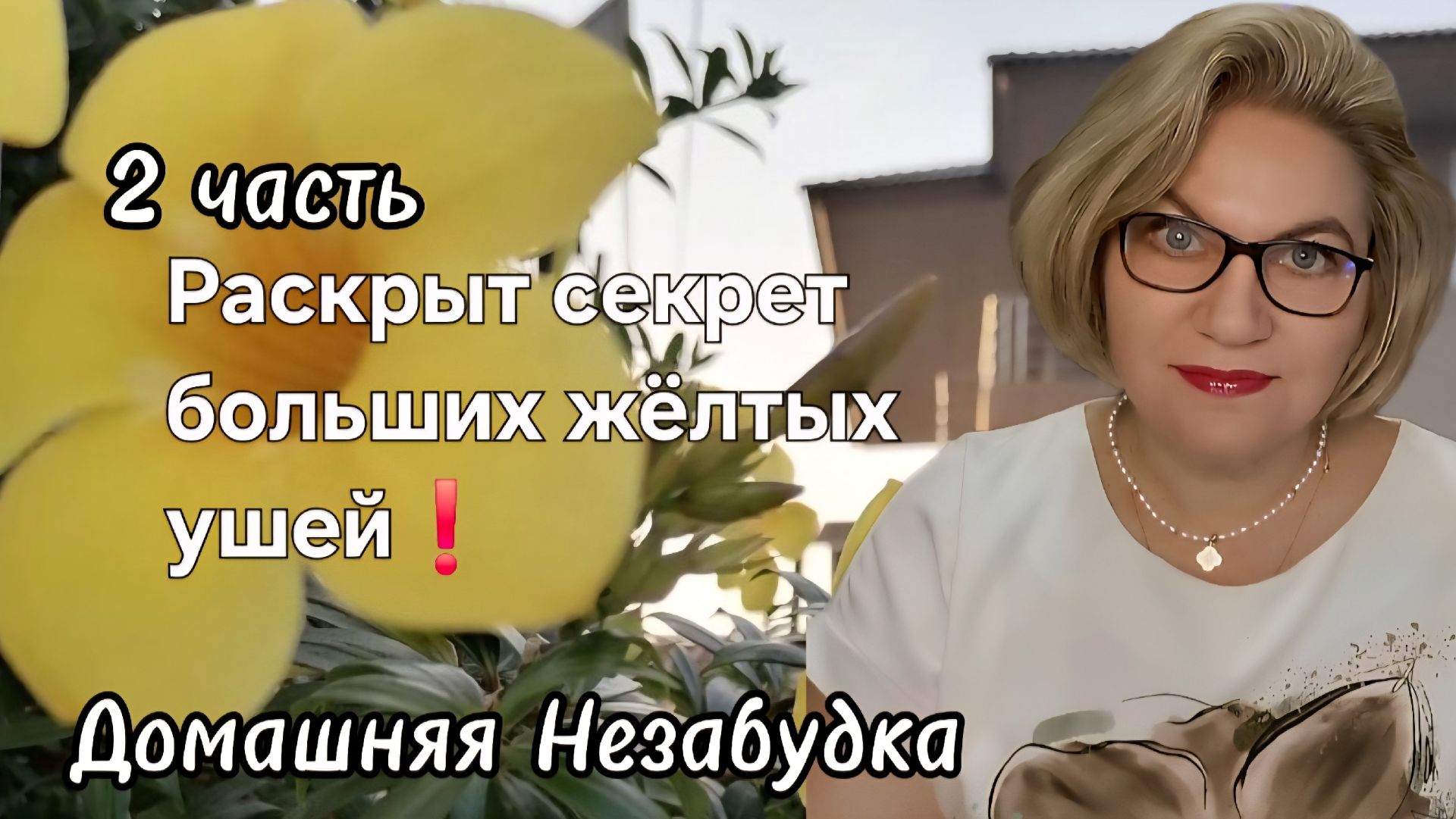 2 часть. Раскрыт секрет больших жёлтых ушей❗️ смотреть онлайн