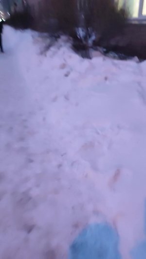 два человека поссорились и тут это