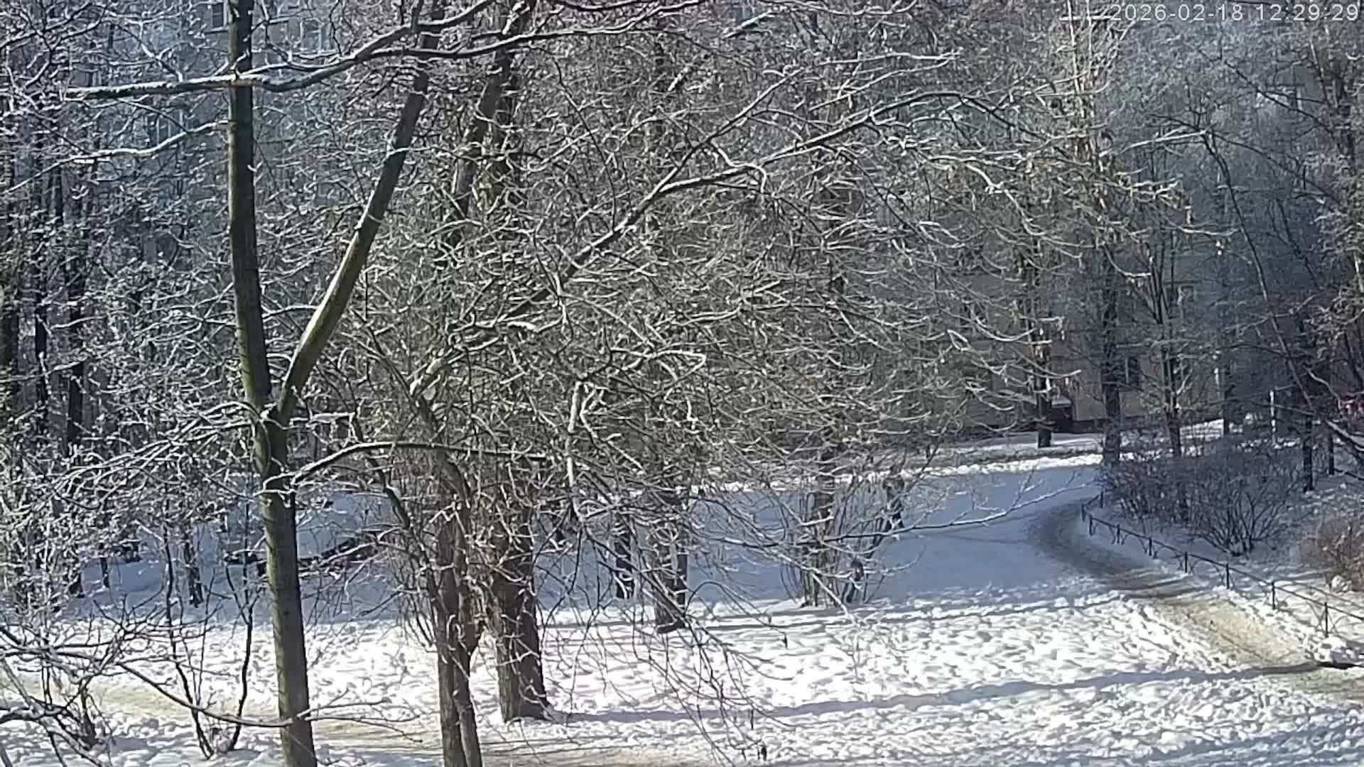 вид из окна