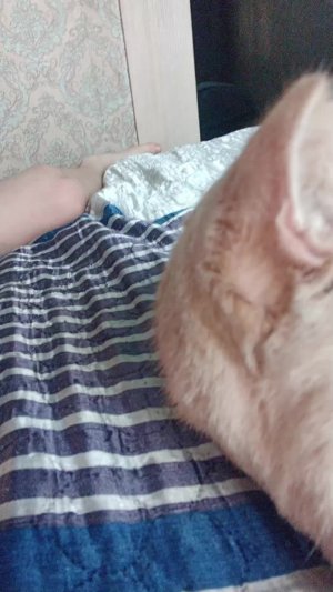 для всех заходите 👇