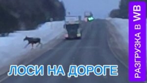 ПО ЗИМНИМ ДОРОГАМ РОССИИ / РАЗГРУЗКА В WB