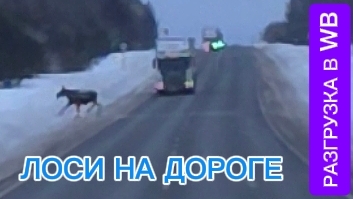 ПО ЗИМНИМ ДОРОГАМ РОССИИ / РАЗГРУЗКА В WB