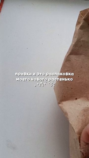 моё новое растенько﹤3 смотреть онлайн