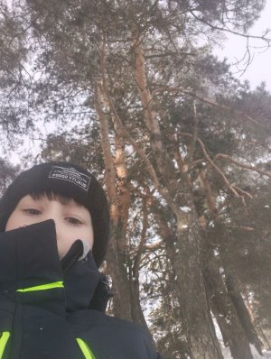 играю в комп