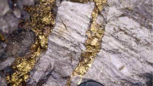 Золотая жила у ртутного ручья!