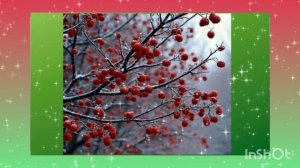 "Калина на снегу" - Автор музыки и стихов @  Айсулу Кадырова