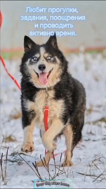 Бегу на встречу к тебе