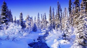 Путь в сказочную тайгу /Авторская песня / стих Николай Федосеев