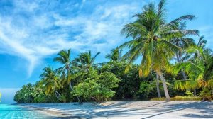 Чилаут Чилл аут  Музыка Слушать Бесплатно