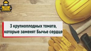 3 крупноплодных томата, которые заменят Бычье сердце