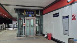 линия наземного метро в Нанкине. Станция Tongshan S9