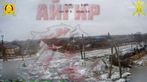 Птичку жалко.