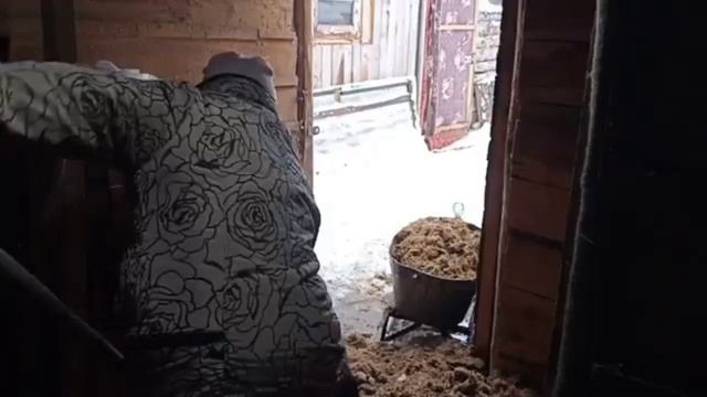 Снега очень много в этом году. смотреть онлайн