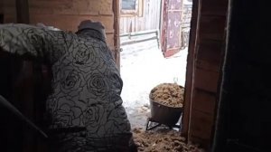 Снега очень много в этом году.