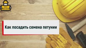 Как посадить семена петунии