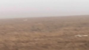 Федора. 18.02.26.