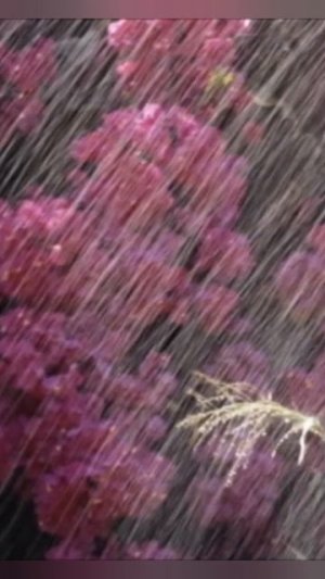 Игорь Приданников