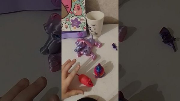 VID_20260218_190901.mp4