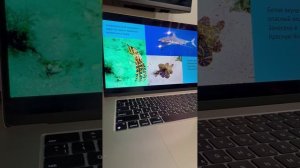 Батурин Александр 4Н - Океан и его обитатели