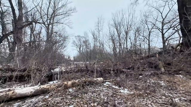 Небольшая пешая прогулка вдоль Реки Осередь 18.02.2026