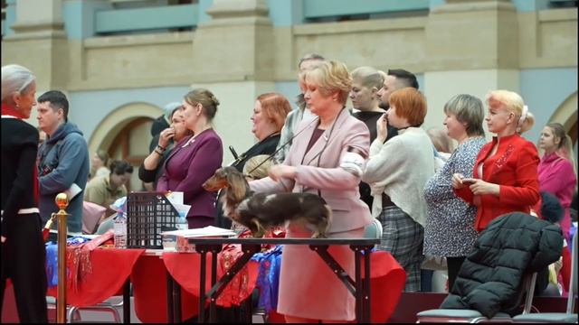 ЛСР РКФ 2026 Ринг Таксы