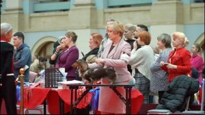 ЛСР РКФ 2026 Ринг Таксы