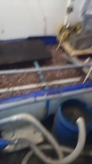 Всем привет доброе утро идоброй ночи. Как всегда работаю по ночам на акваферме. Днём не всегда мо...