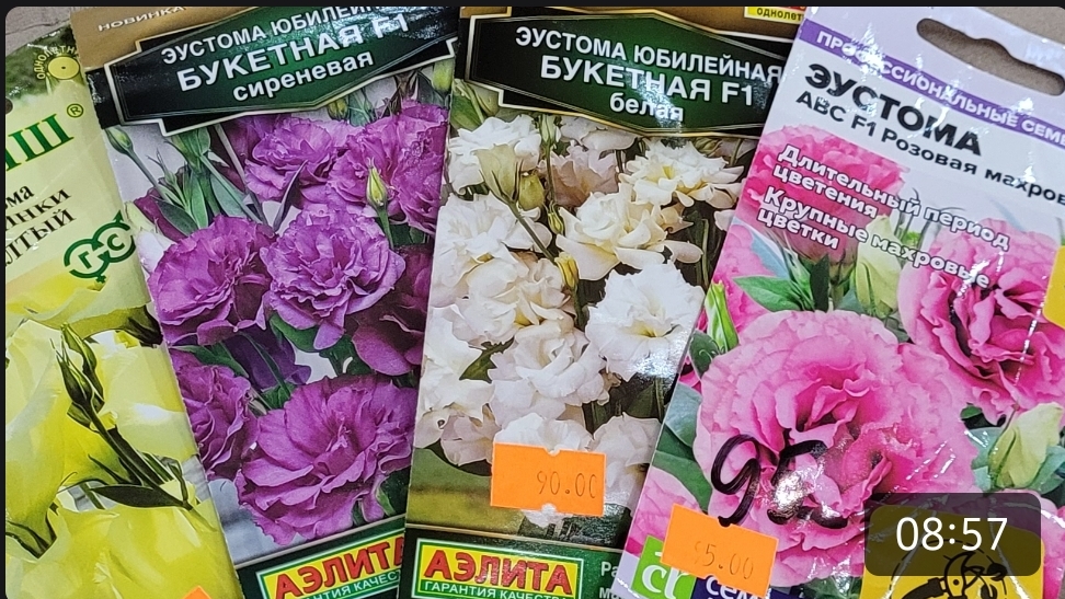 Посев эустомы. удобный лайфхак с фитоспарином. смотреть онлайн