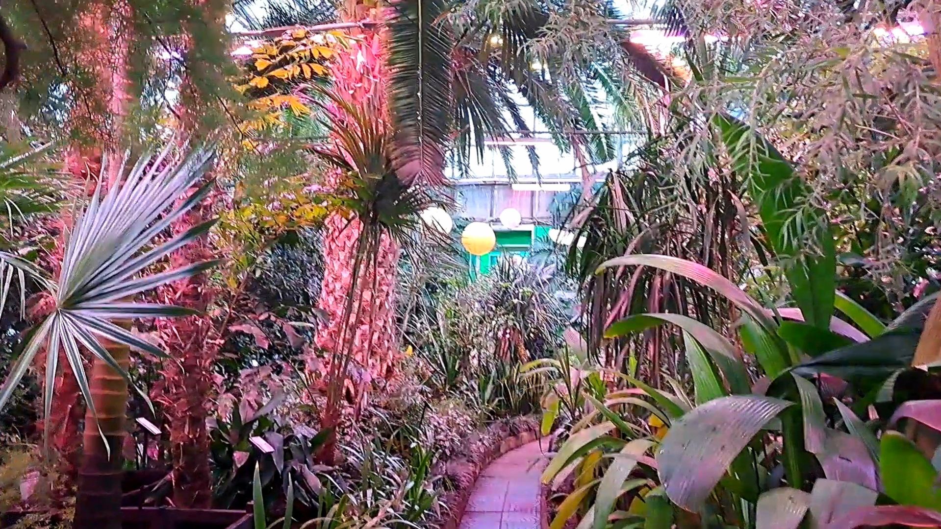 В Самом Северном Ботаническом Саду!