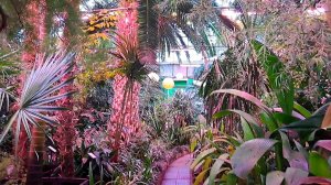 В Самом Северном Ботаническом Саду!